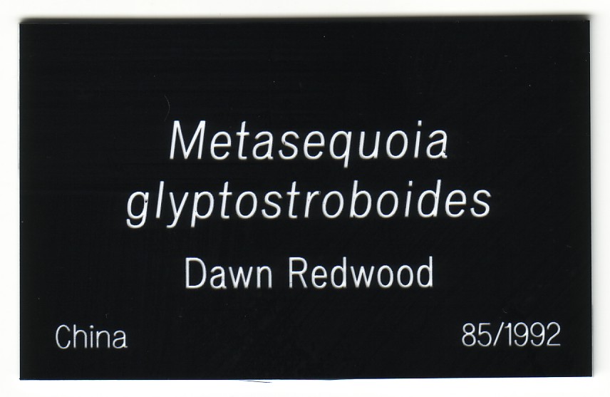 Engraved Garden Labels